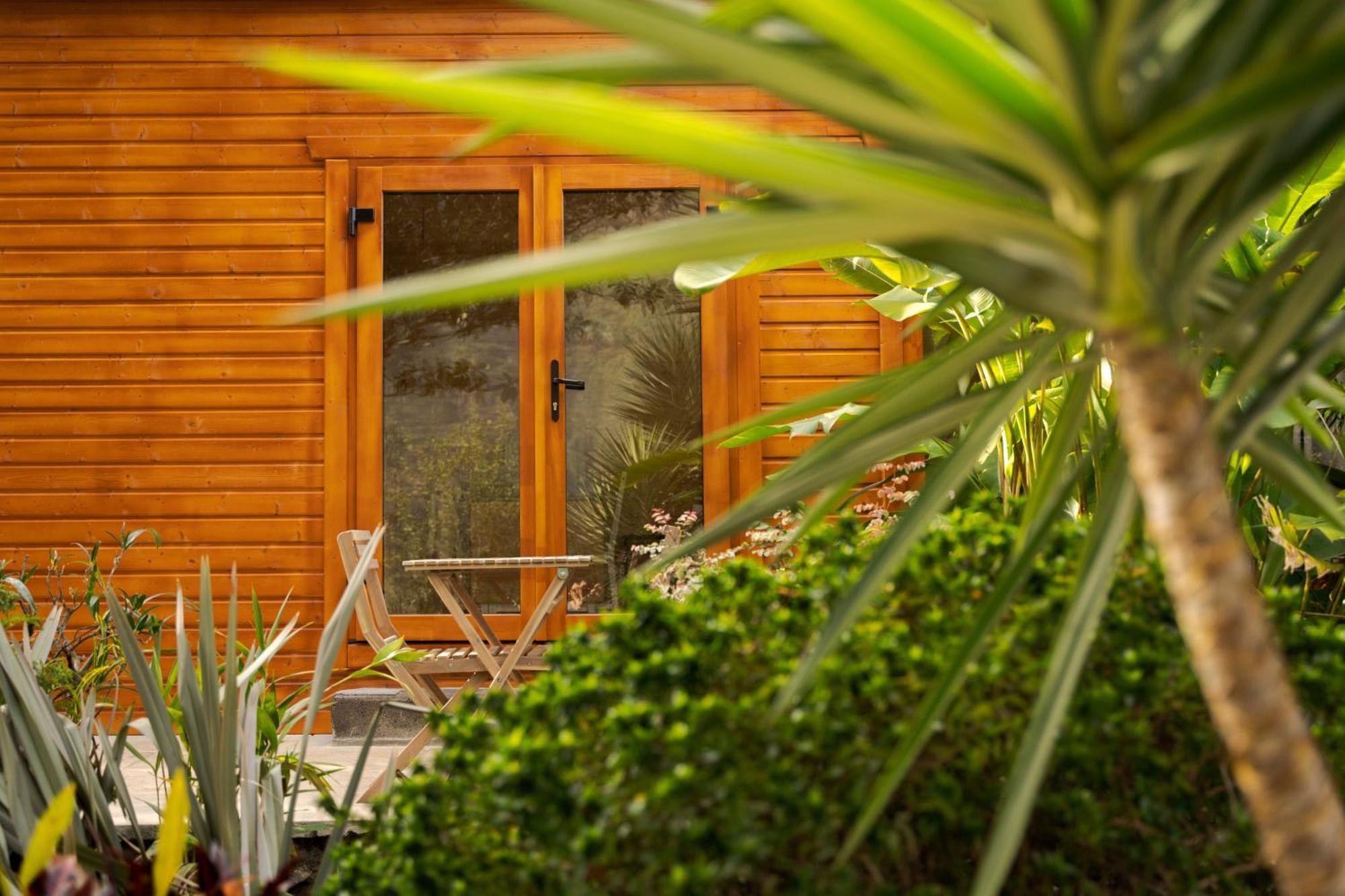 Madeira Surf Lodge São Vicente المظهر الخارجي الصورة